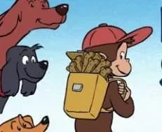 Curious George Fair Share