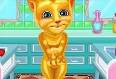 Talking Ginger Shaving